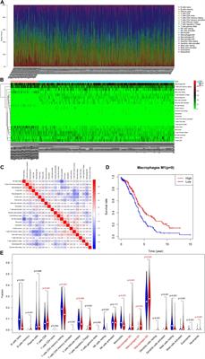 Identification of LncRNA Prognostic Markers for Ovarian Cancer by Integration of Co-expression and CeRNA Network